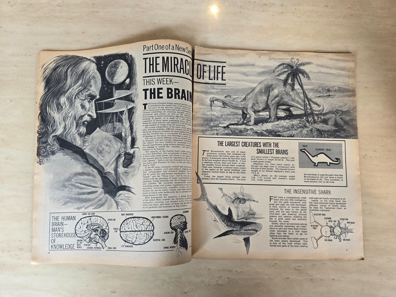 Look and Learn Magazine No. 426, 14th March 1970 IPC Magazine