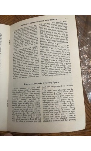 USDA Forest Service Leaflet 487 Black Walnut Timber Planting 1974 – Forestry