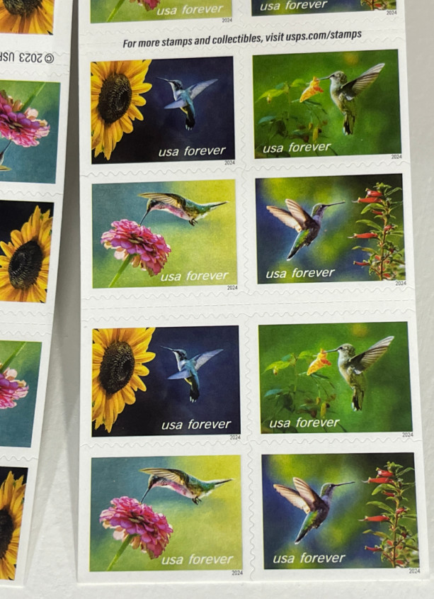 2024 5 SHEETS OF 20 FIRST CLASS LETTER STAMPS GARDEN DELIGHTS 100 TOTAL