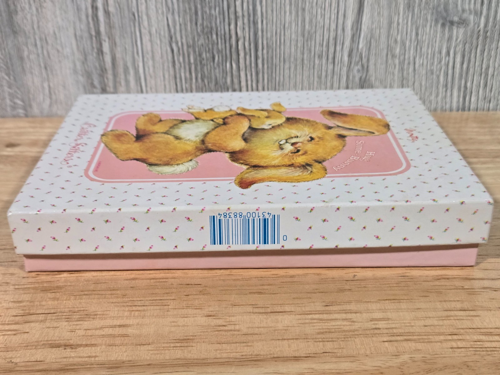 Critter Sitters Hug Some-Bunny Stationary Set Vintage 1982 Mead Montag 21 Sheets