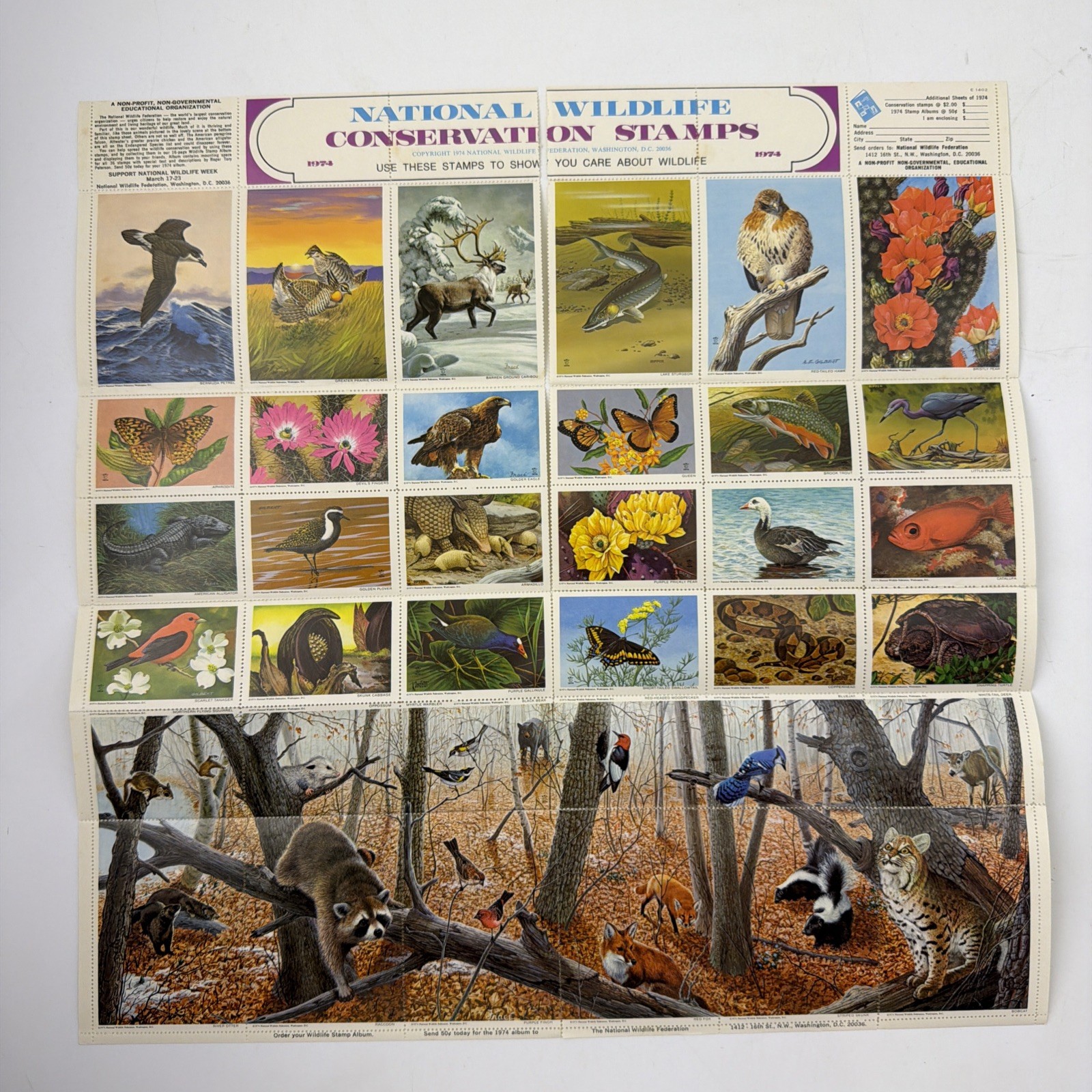 4 Large NWF Wildlife Conservation Stamp Sheets Lot 1973–1977 Birds Nature Art