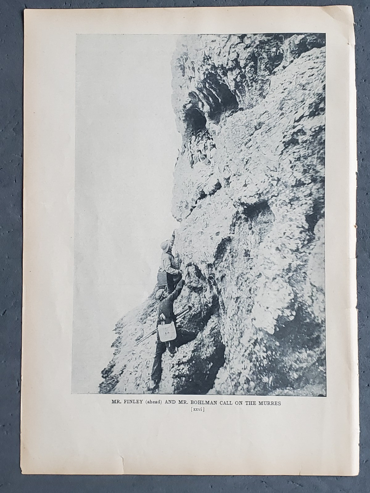 1936 Birds of America “Photographing the Murres on the Side of a Cliff”