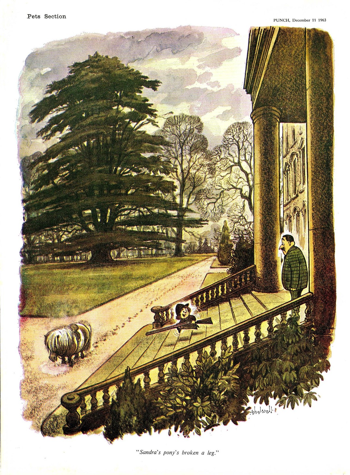 Original 1963 Punch THELWELL Colour Cartoon Print ‘Sandra’s Pony’s Broken a Leg’