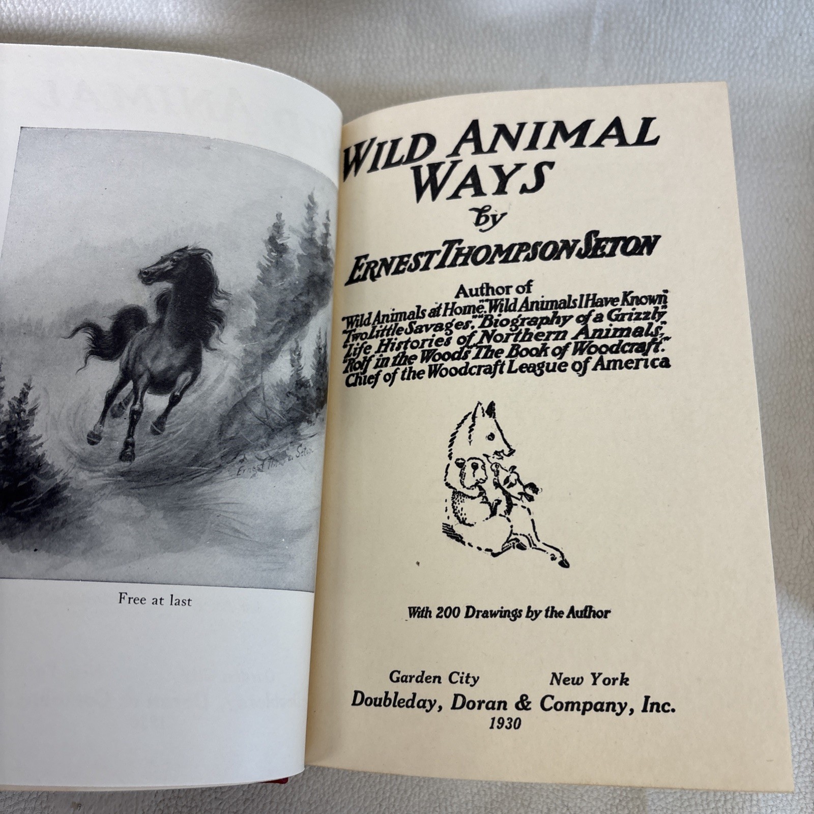 Vtg Vol. 1-3 Animals & Birds, Craft, Hiking -HC- DJ ERNEST THOMPSON SETON 1926