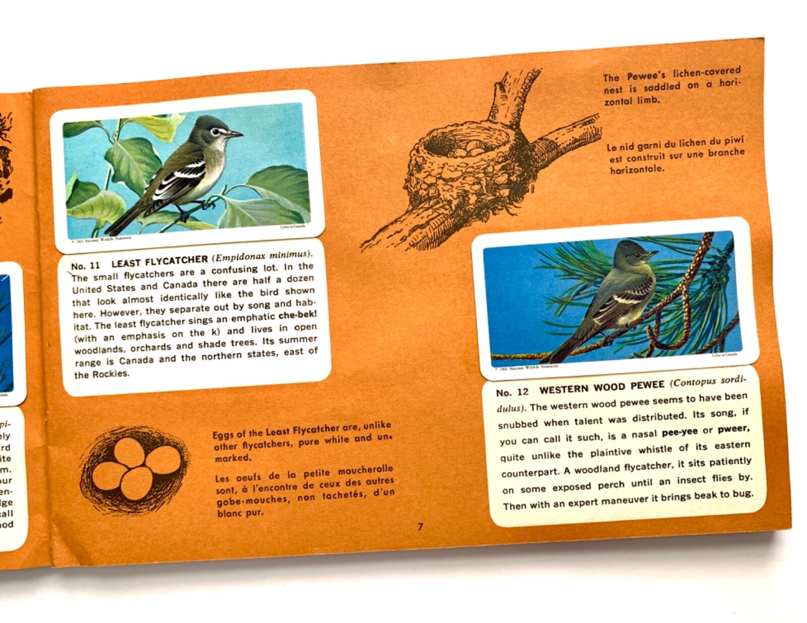 Canadian-American Songbirds Booklet Album #9, Birds, Songbirds, Brooke Bond 1966
