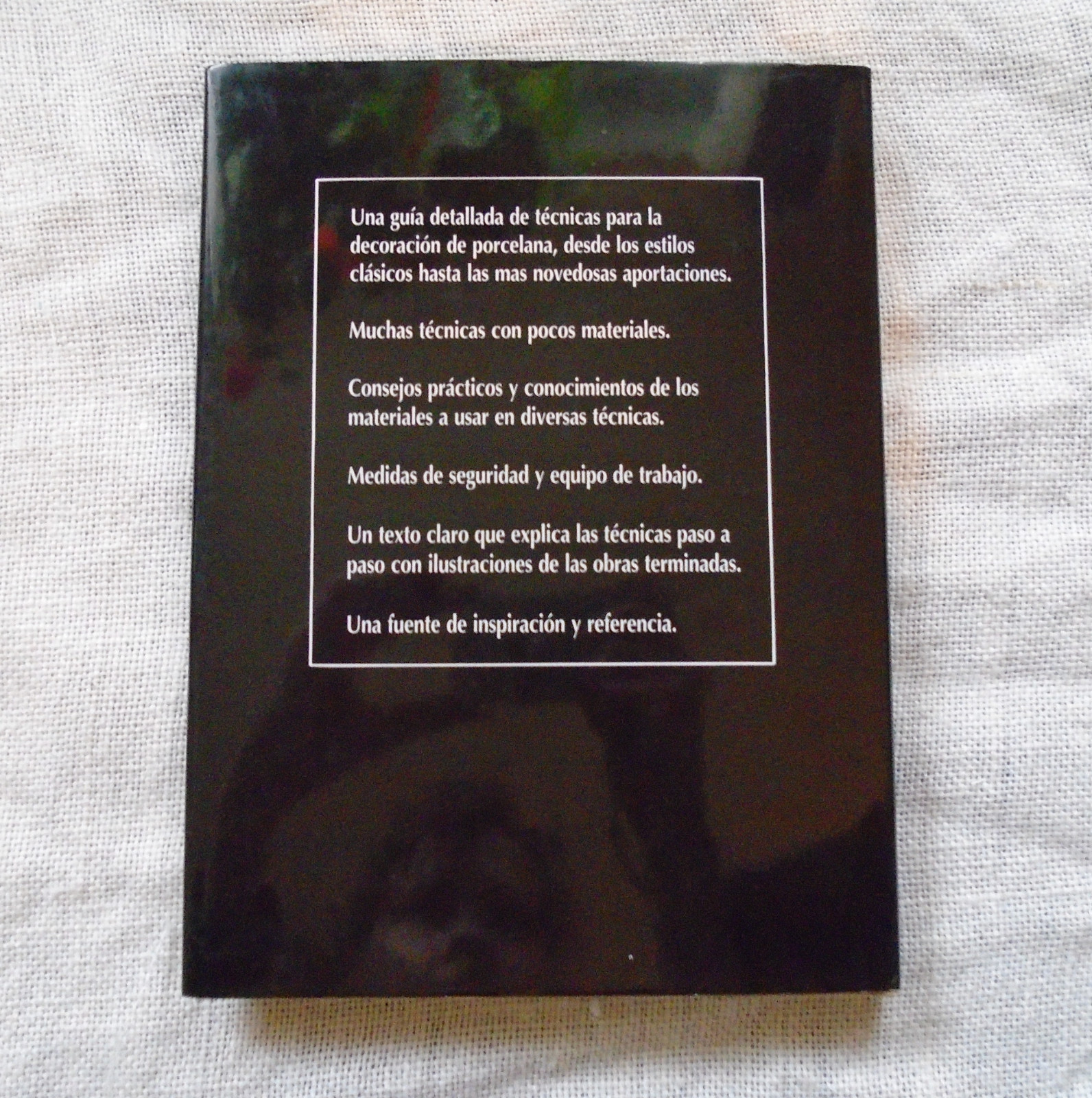 Un Arte Sin Limites Art Without Limits Spanish Rocio Borobia Hardcover 1995