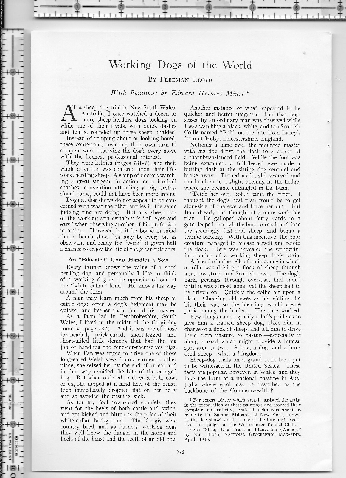 Working Dogs Of The World dog 1941 magazine article – 32 pgs