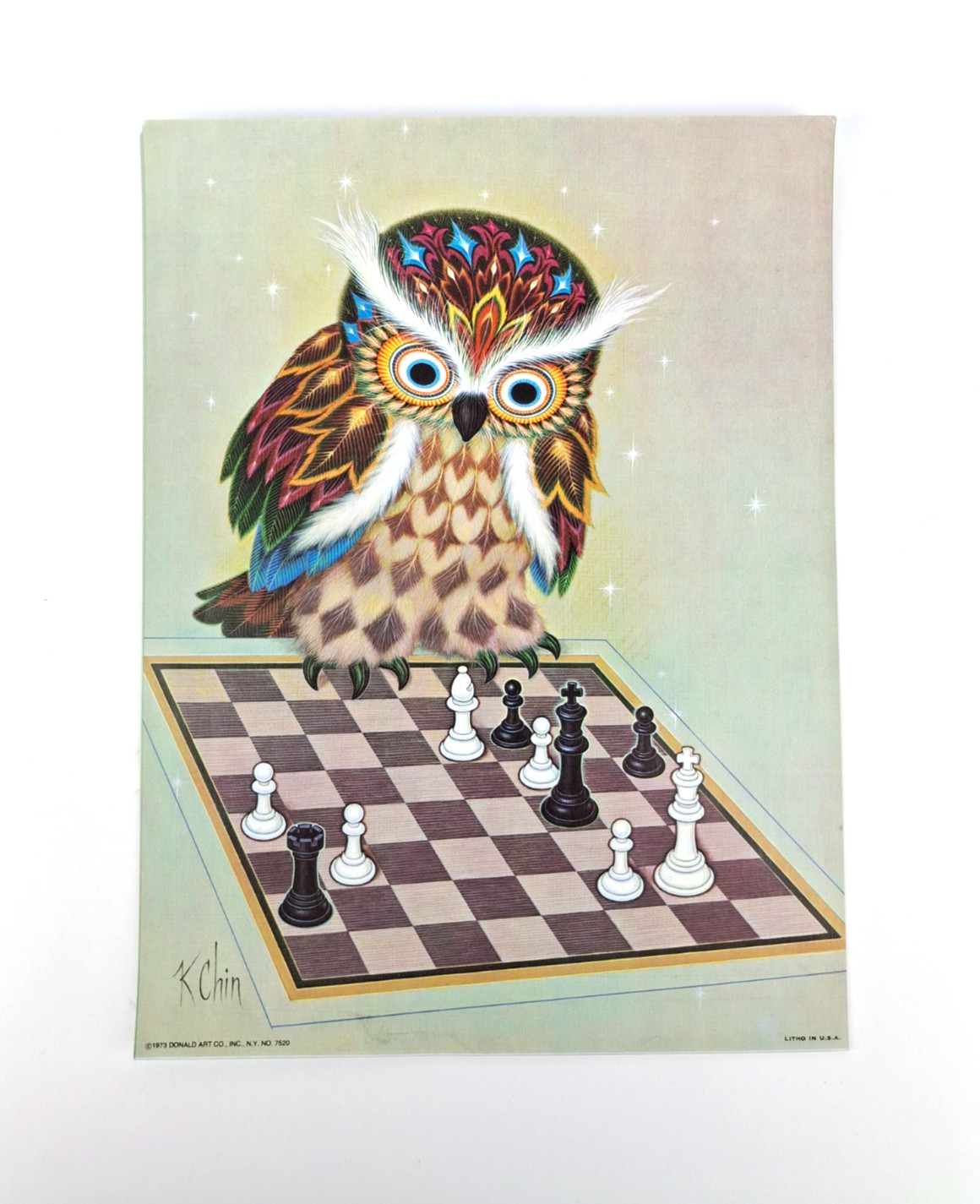 VTG 70s K Chin Owl Litho Print Mid Century Modern Donald Art Co. 9″ x 12″ #7520