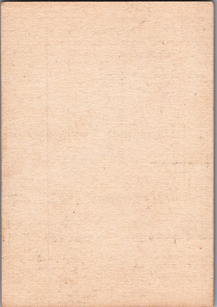 1940s Mini Souvenir View Card Yellowstone Tower Fall 132 Feet