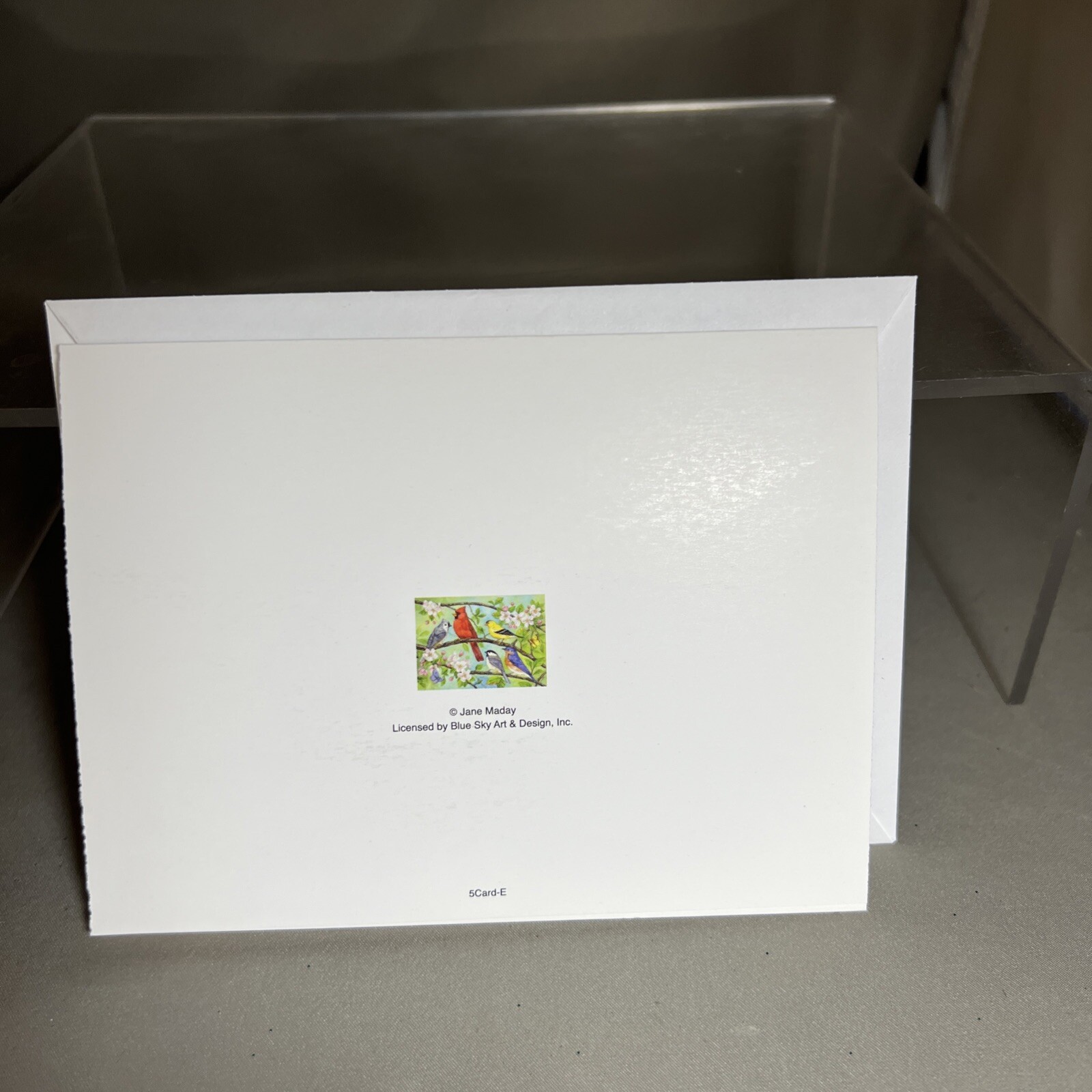Jane Maday Blank Greeting Card Birds In Spring Cardinal Goldfinch Bluebird