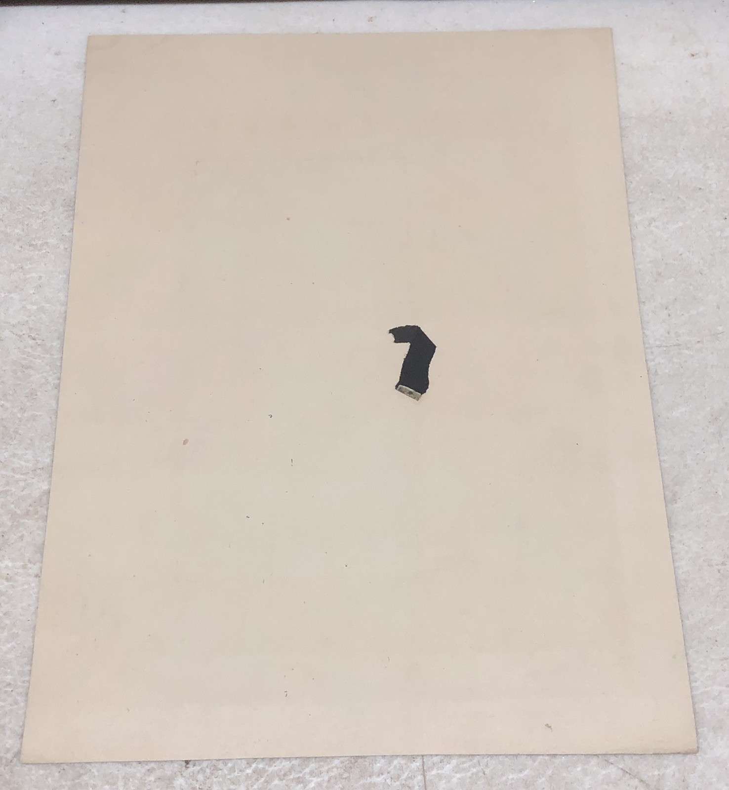 Antique c1882 Music Sheet Opera Cover Print w/ Color Print ROSE LEAVES – L6
