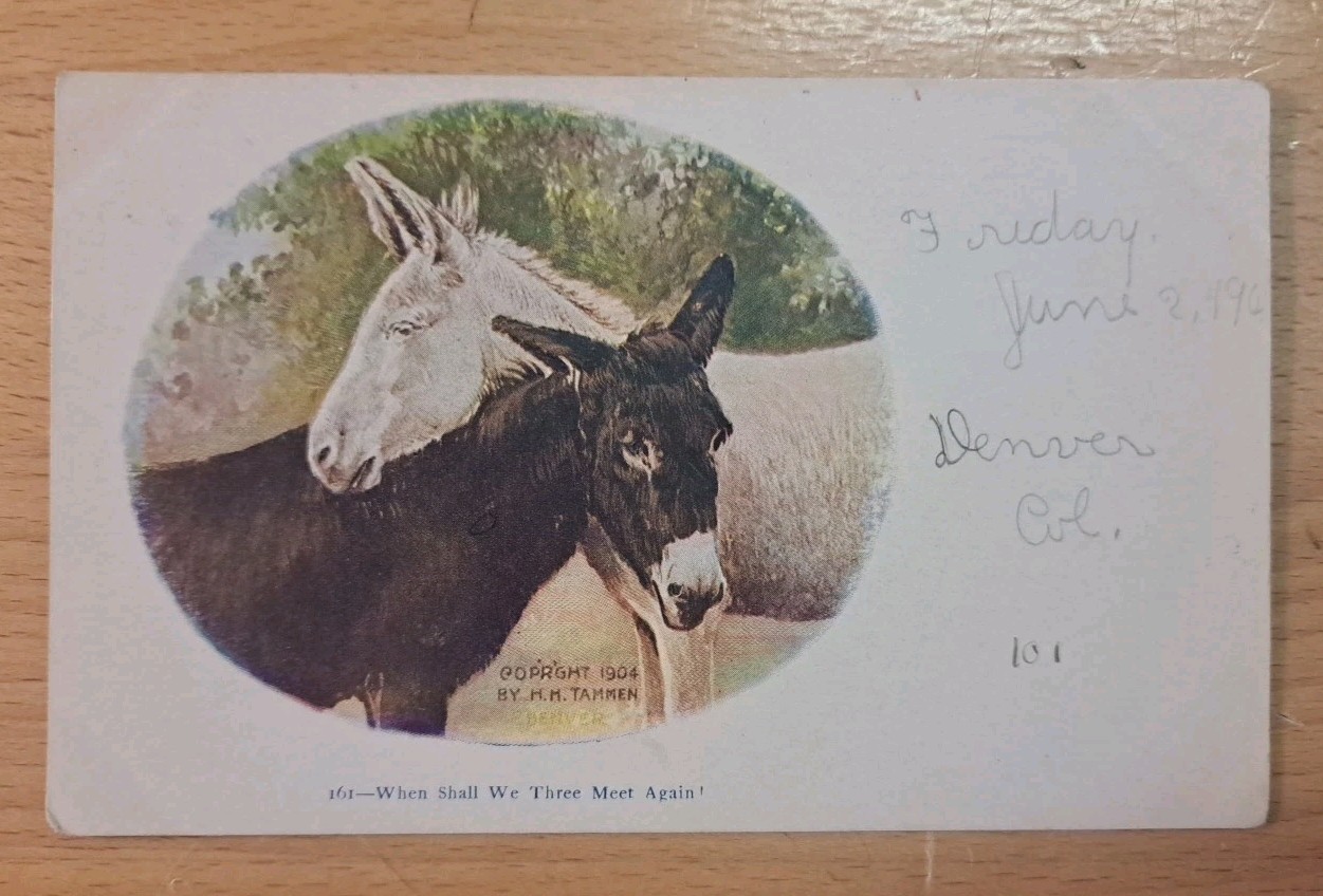 c1909 Postcard When Shall We Three Meet Again Donkeys Nuzzling Iowa City IA