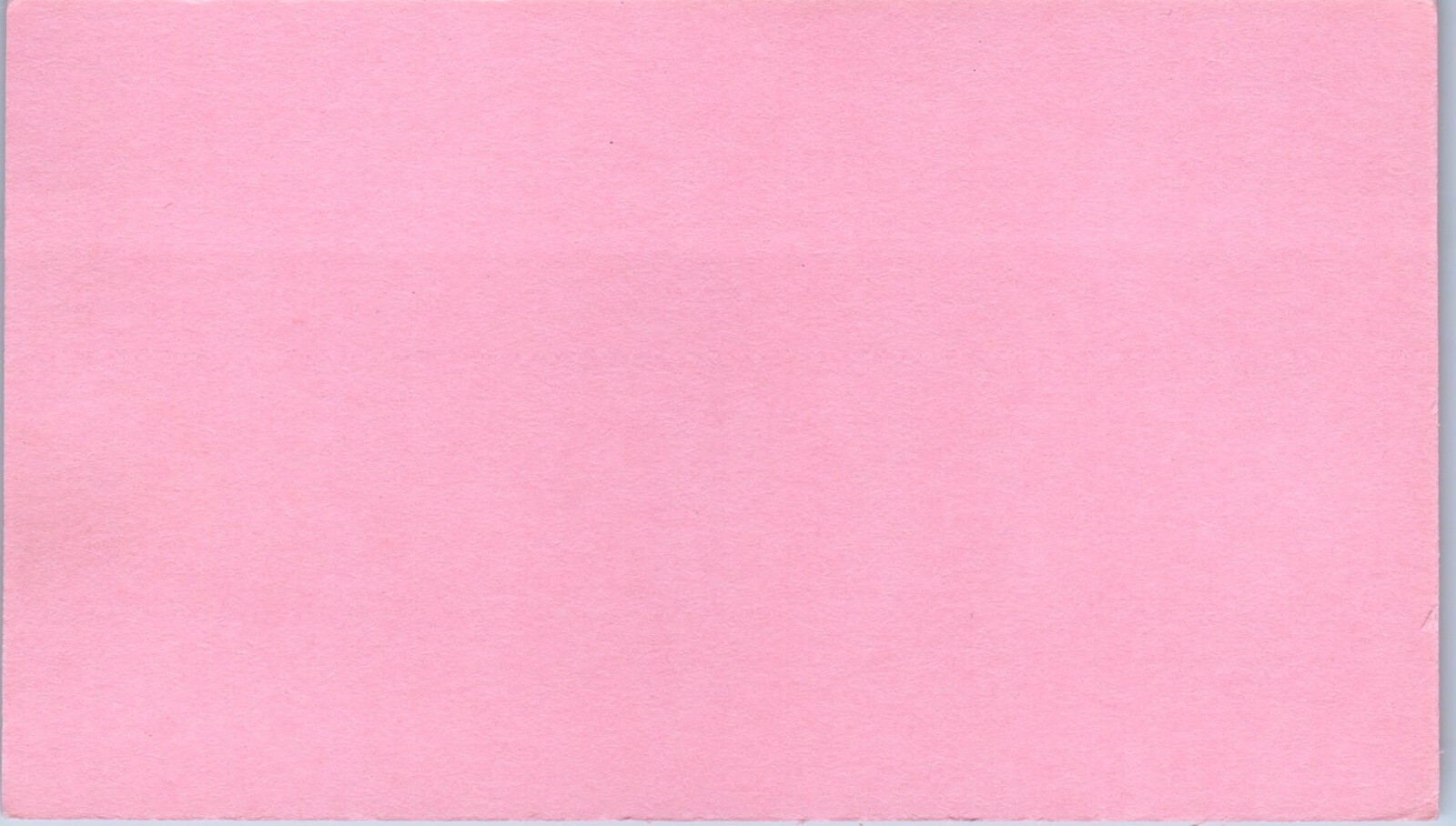Parakeets Cockatiels Alyce Boynton Highland, Michigan Birds Business Card Pink
