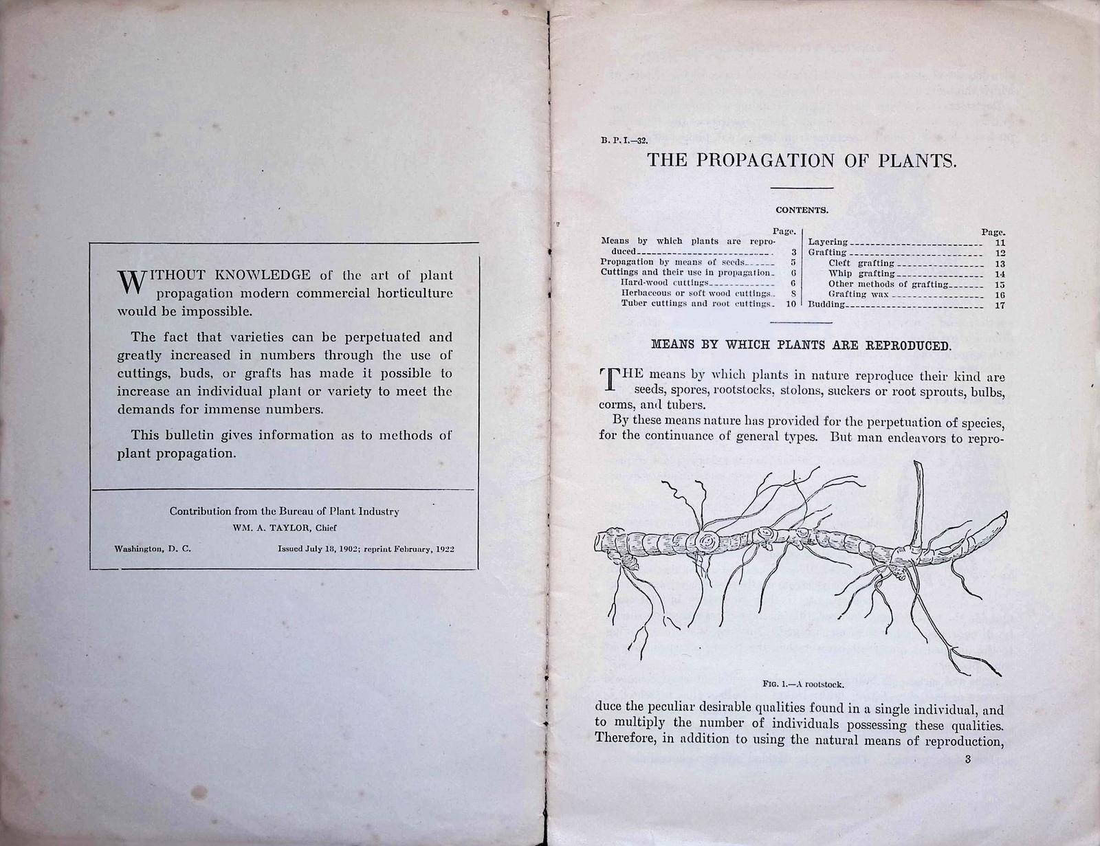 USDA Farmers’ Bulletin 157 Plant Propagation 1900 Pamphlet Softcover Agriculture