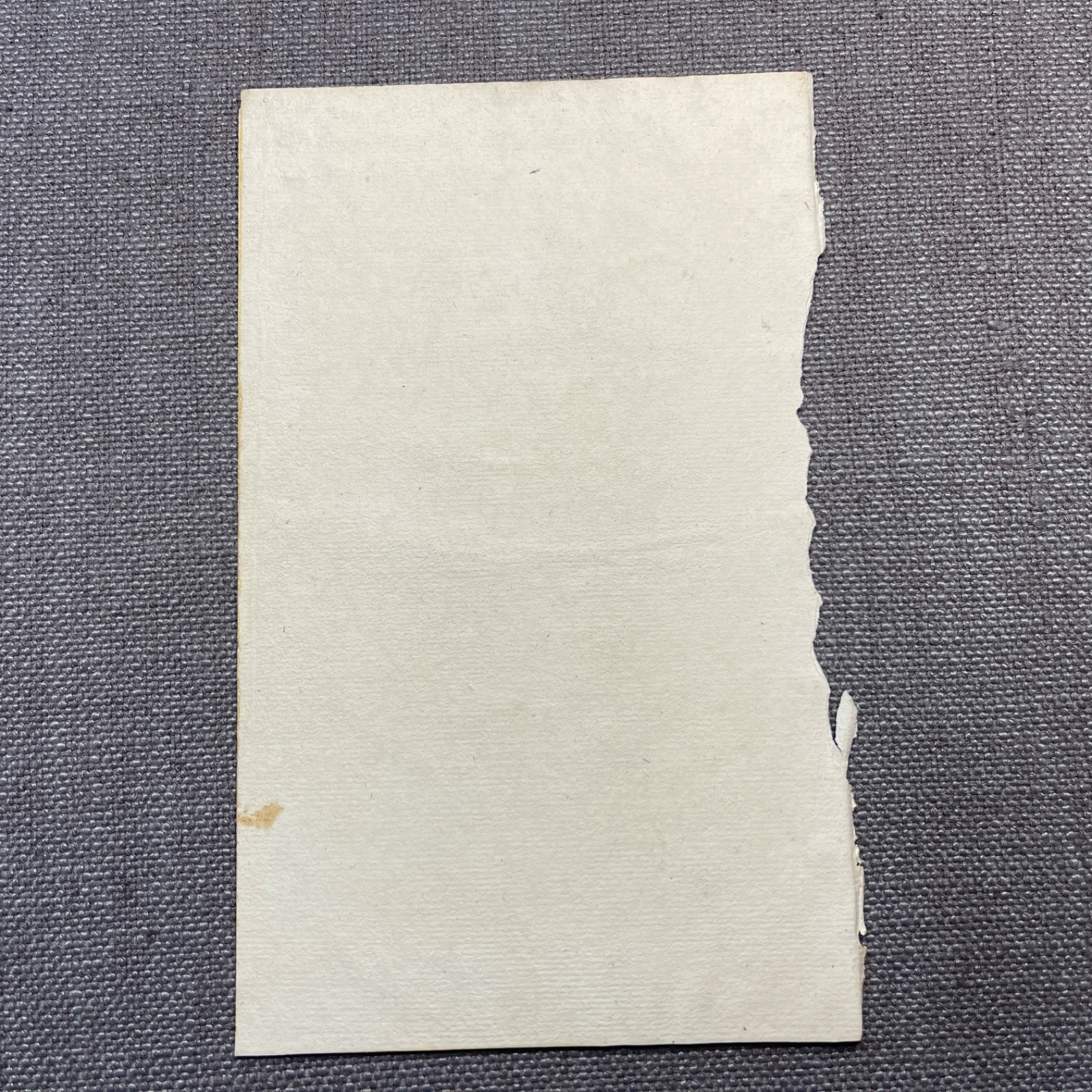 Antique Marbled End Papers Pair 1800s Bookbinding Blue Brown Beige White