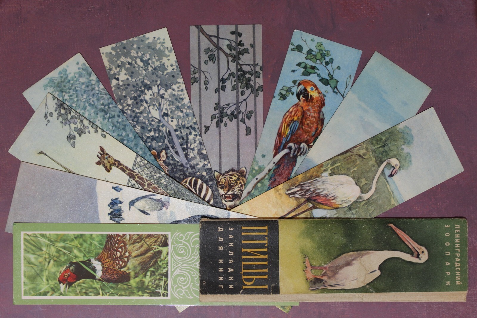 Leningrad ZOO Birds artist AMINOV Bookmarks USSR 1965 FULL Set 8 + BONUS🐦