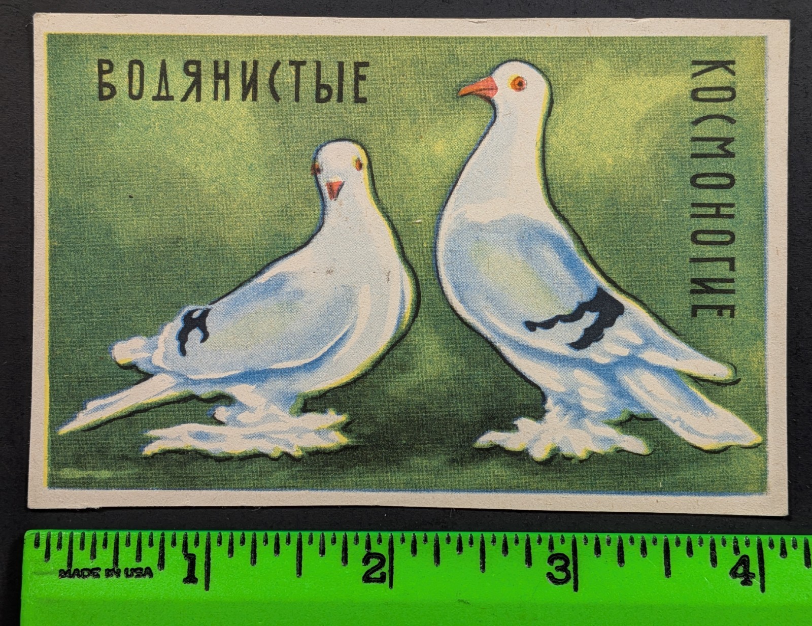 Vintage Doves Pigeons Birds Matchbox Label