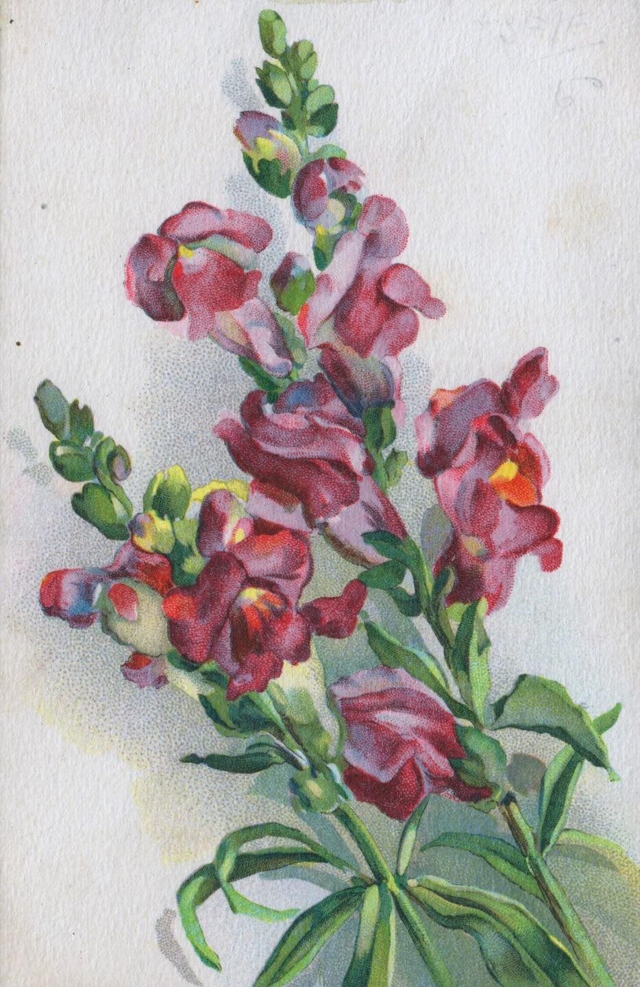 Pretty EARLY 1900’s Handmade Antique Stipple Painting Stock Flowers POSTCARD