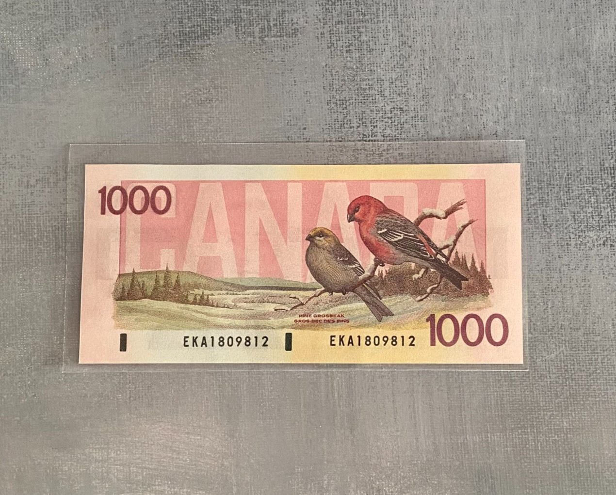 Fantasy Reproduction Banknote-Canada $1000 Dollar 1988 – Art replica For Framing