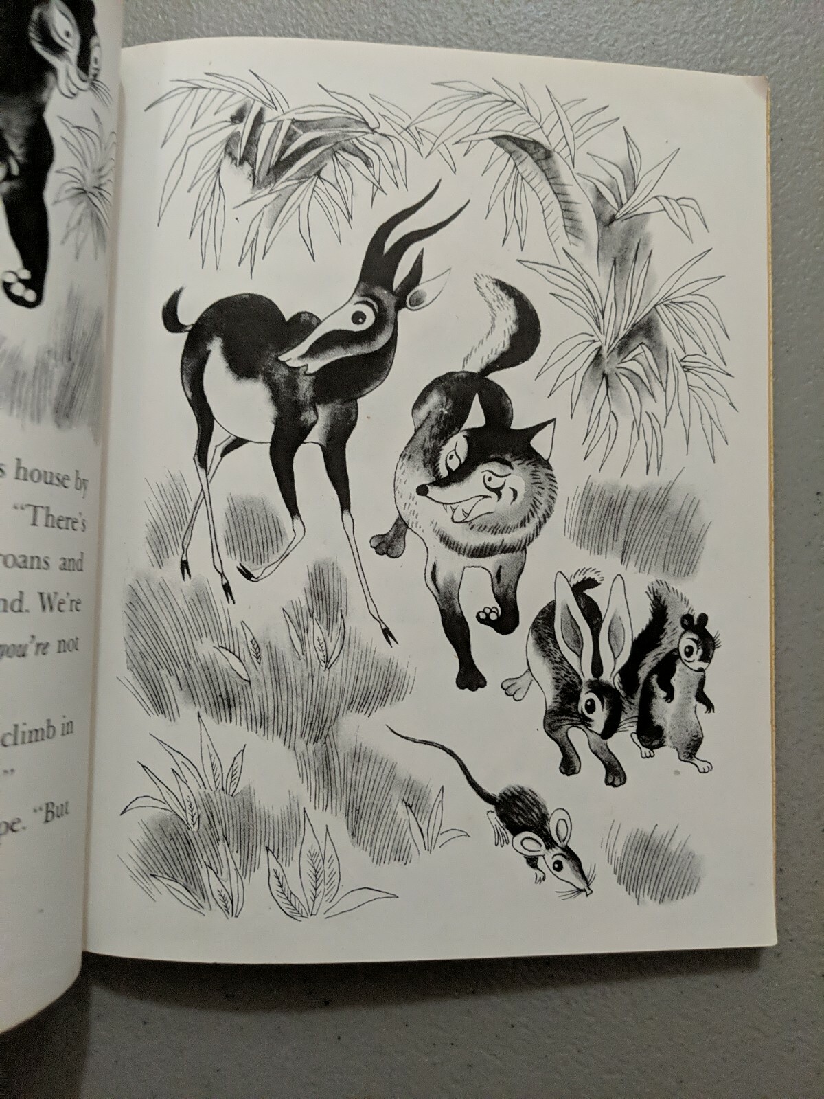 A Day In The Jungle, A Little Golden Book,1943(VINTAGE Brown Binding)