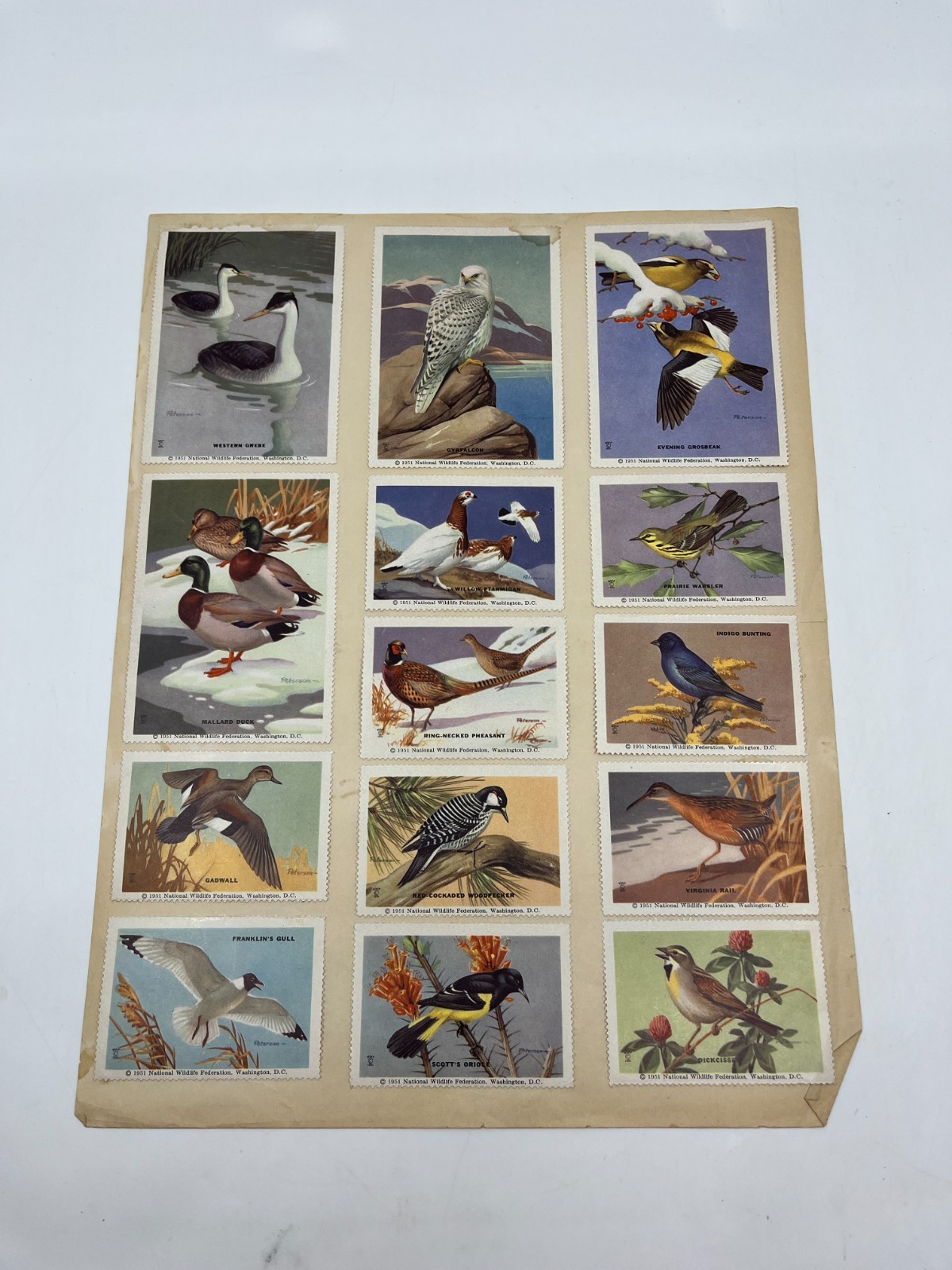1951 National Wildlife Federation Wildlife Stamp Prints Birds Flowers Stamp Lot