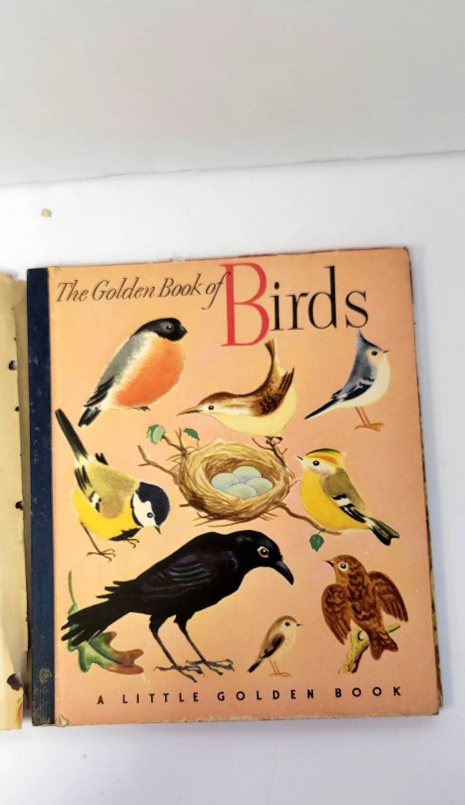 Semi-antique 1943 The Little Golden Book of Birds