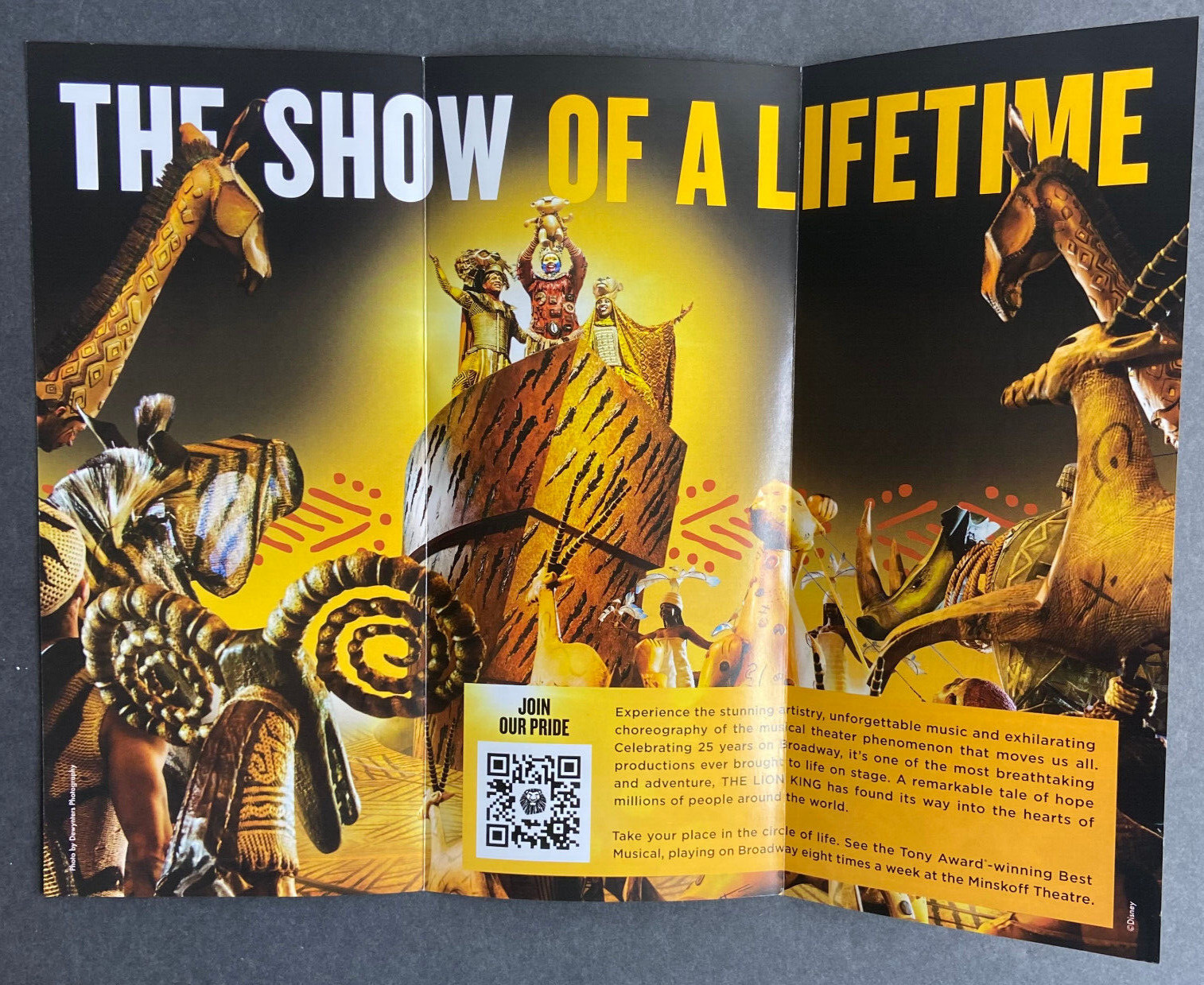 Disney The Lion King 25 years 2022 Ad Flyer Broadway New York City Advertisement