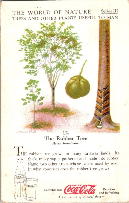 Coca-Cola Rubber Tree Trade Card c1910 J. Marion Shull