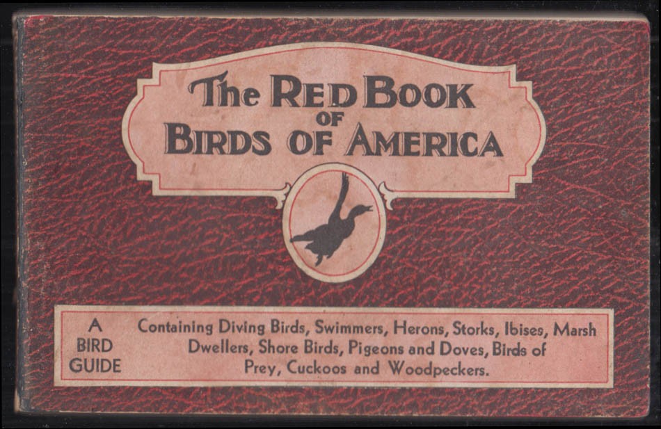 The Red Book of Birds of America 1931 Birds of Prey Shore Pigeons Storks &c