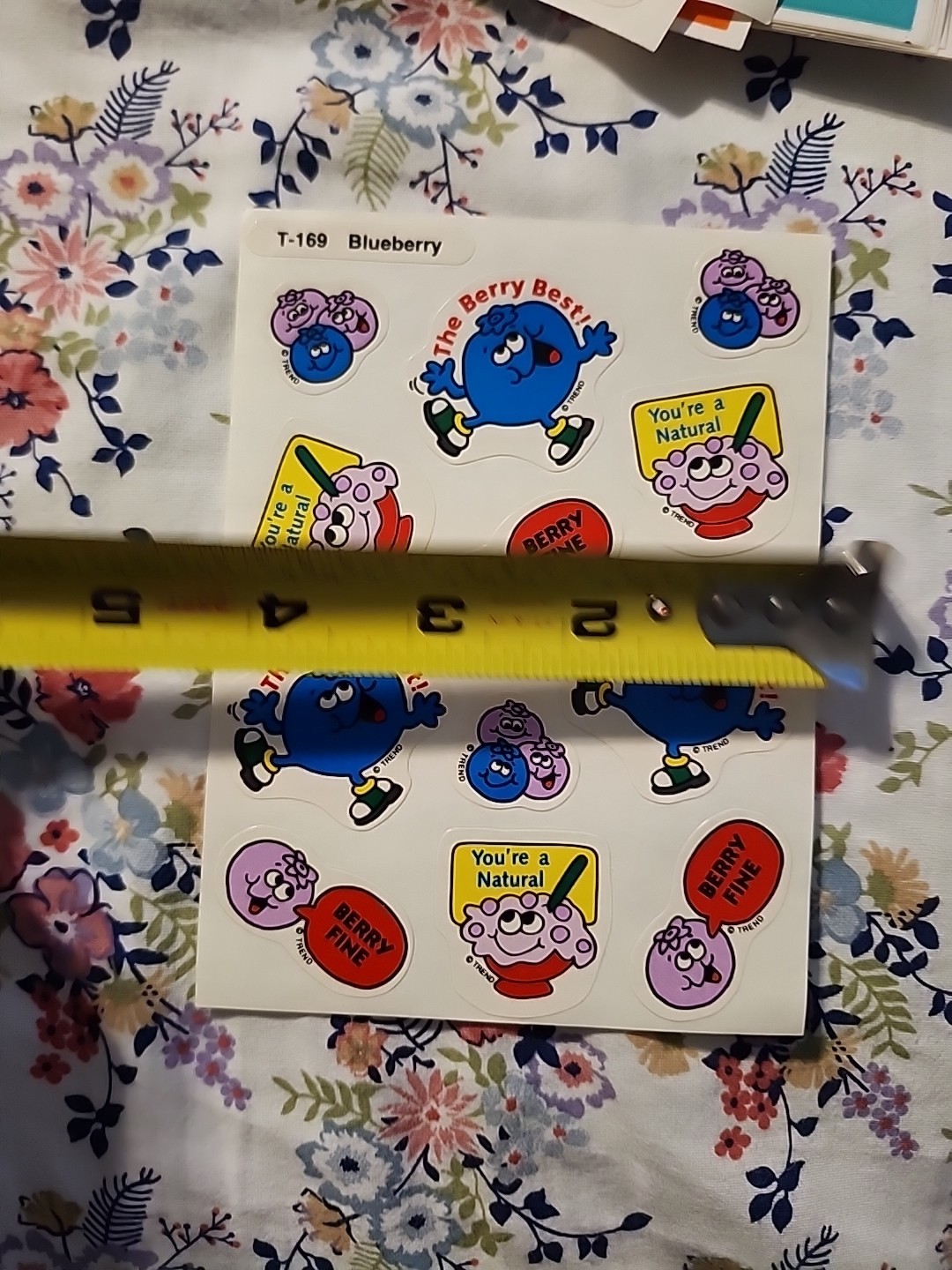 NEW Vintage TREND Scratch & Sniff Sticker FULL Sheet BLUEBERRY Scent RARE
