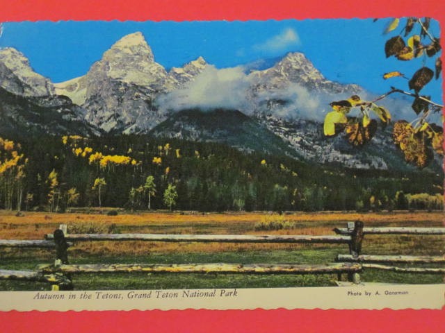 Autumn in Grand Teton National Park Postcard – Scalloped Edge / 4″x6″