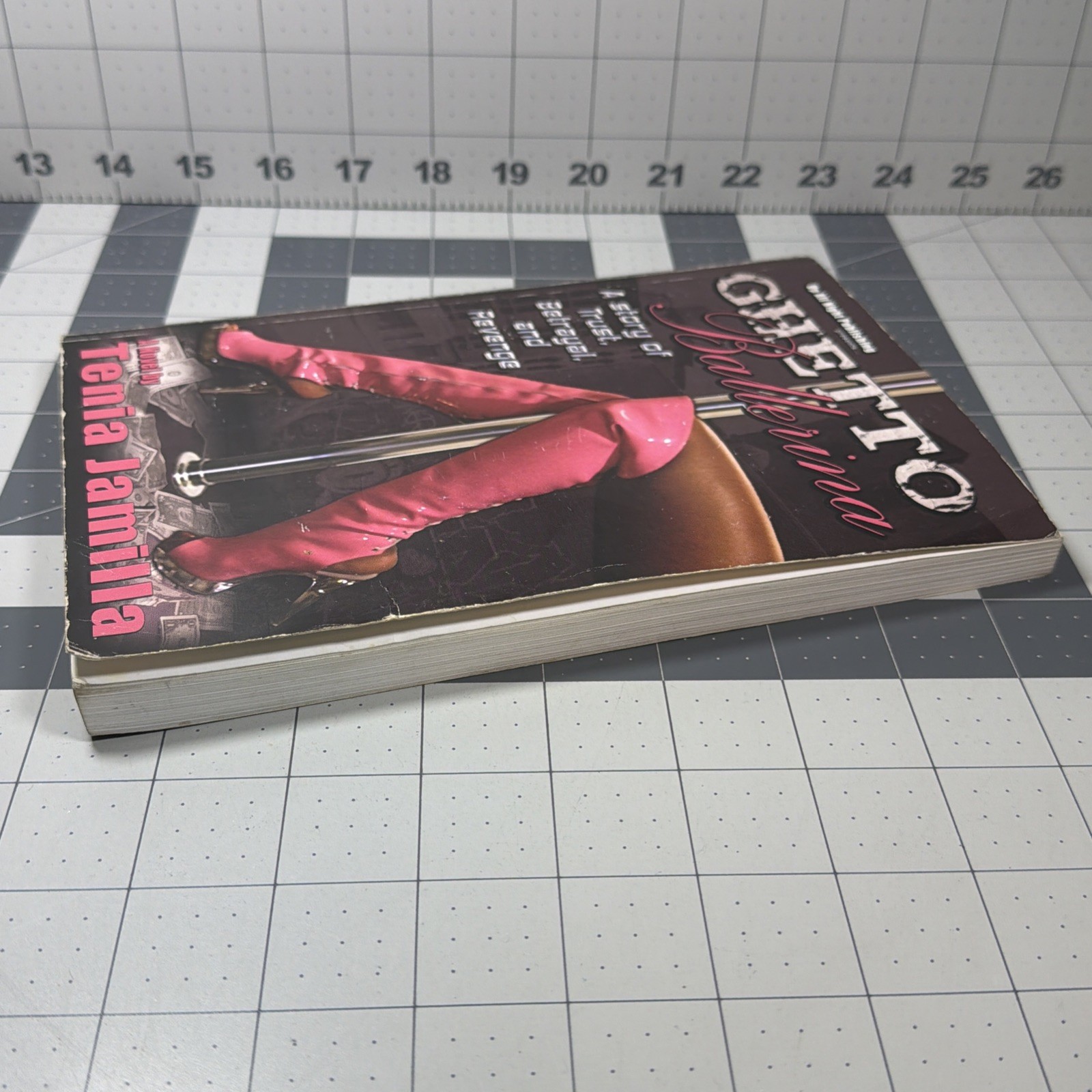 Ghetto Ballerina Soft Cover Book Tenia Jamilla