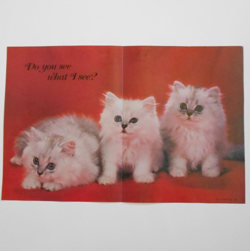 Troll Books 4 Poster Lot Cats Dogs Horses Vintage Kids Room Decor 1980s