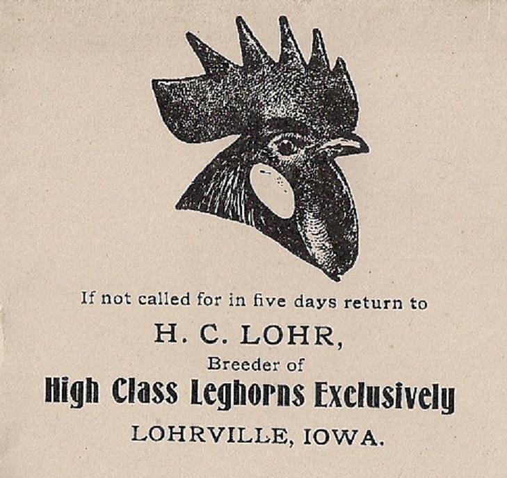 5 Early Pictorial ROOSTER envelopes c1910~Chicken~Leghorns~Lohrville,Iowa~VG