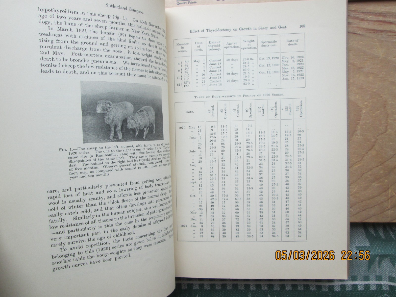 Quarterly Journal of EXPERIMENTAL psychology 1924