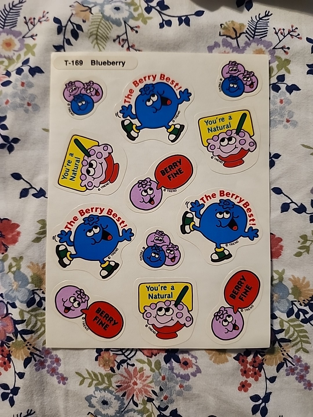 NEW Vintage TREND Scratch & Sniff Sticker FULL Sheet BLUEBERRY Scent RARE