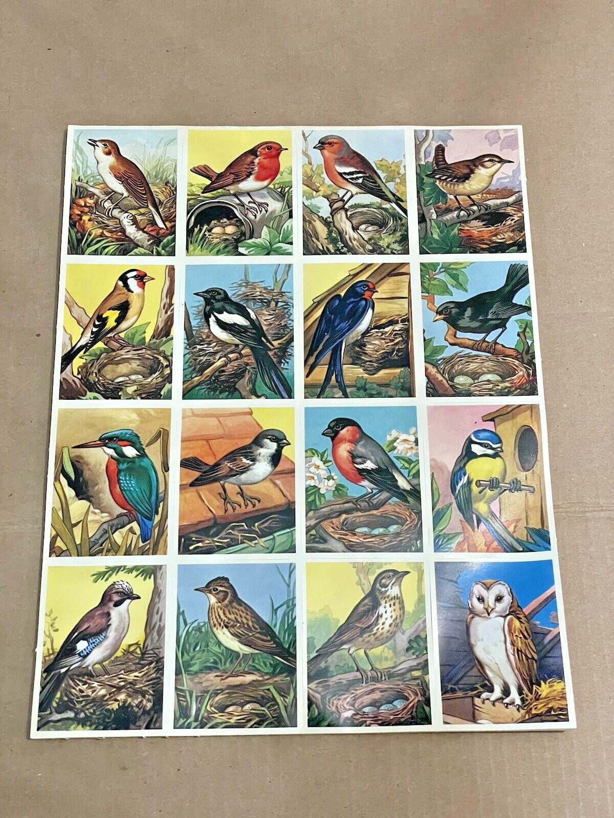 x10 Sheets Vintage England Embossed Cards Scrap Die Cut – Birds MLP