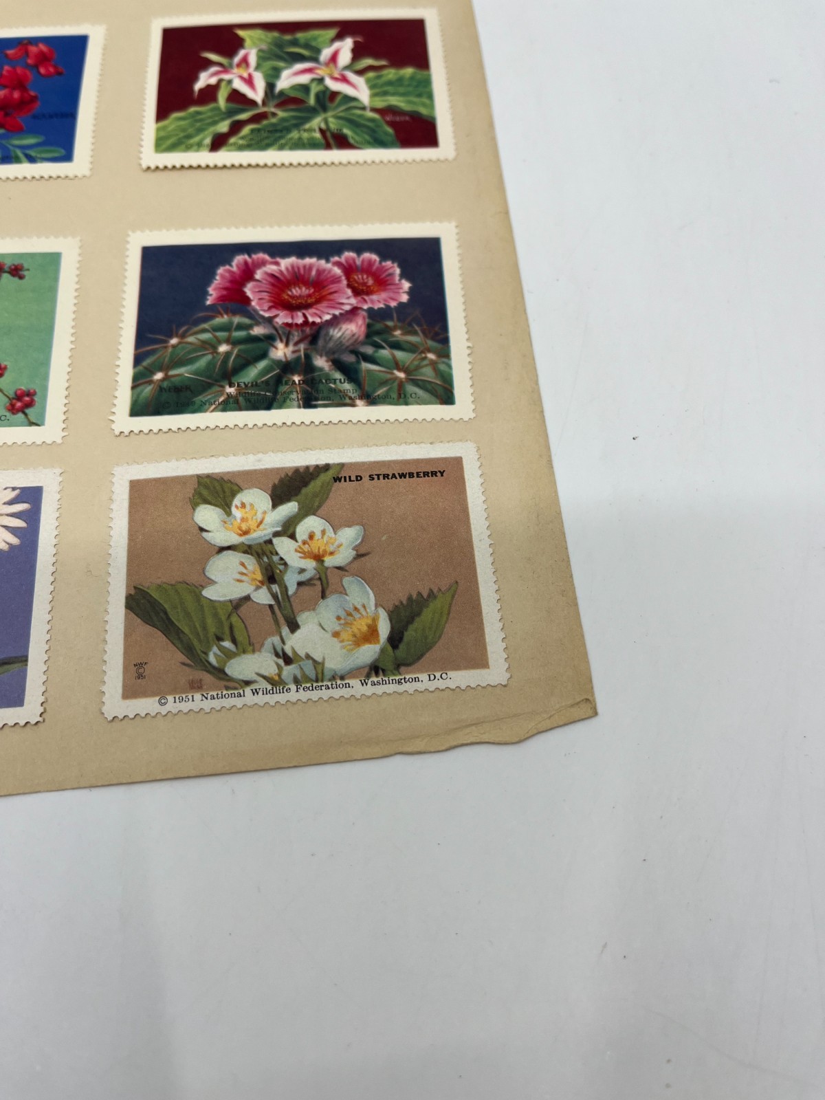 1951 National Wildlife Federation Wildlife Stamp Prints Birds Flowers Stamp Lot