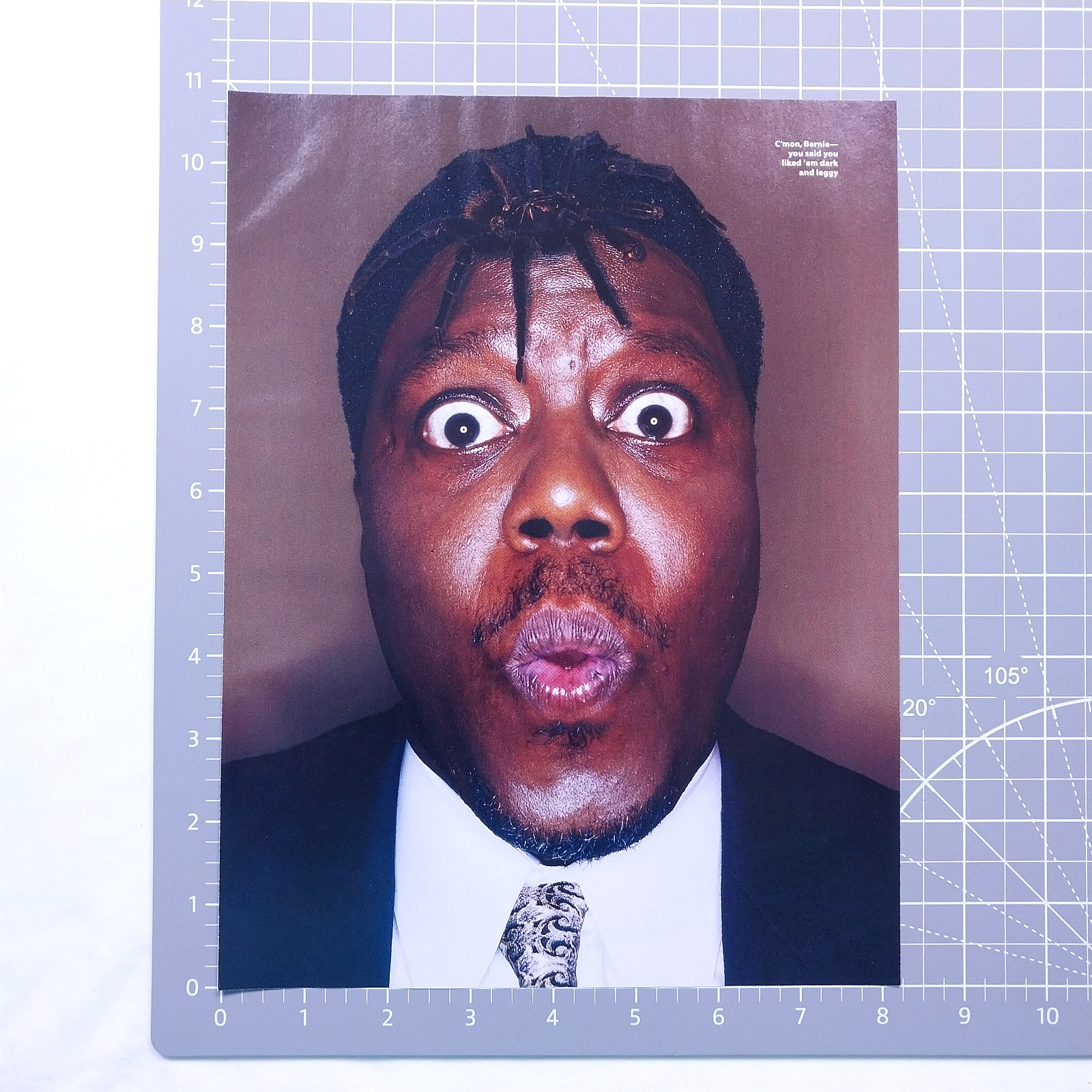 2002 Bernie Mac Tarantula On Head Vintage Magazine Print Y2K Funny Headshot