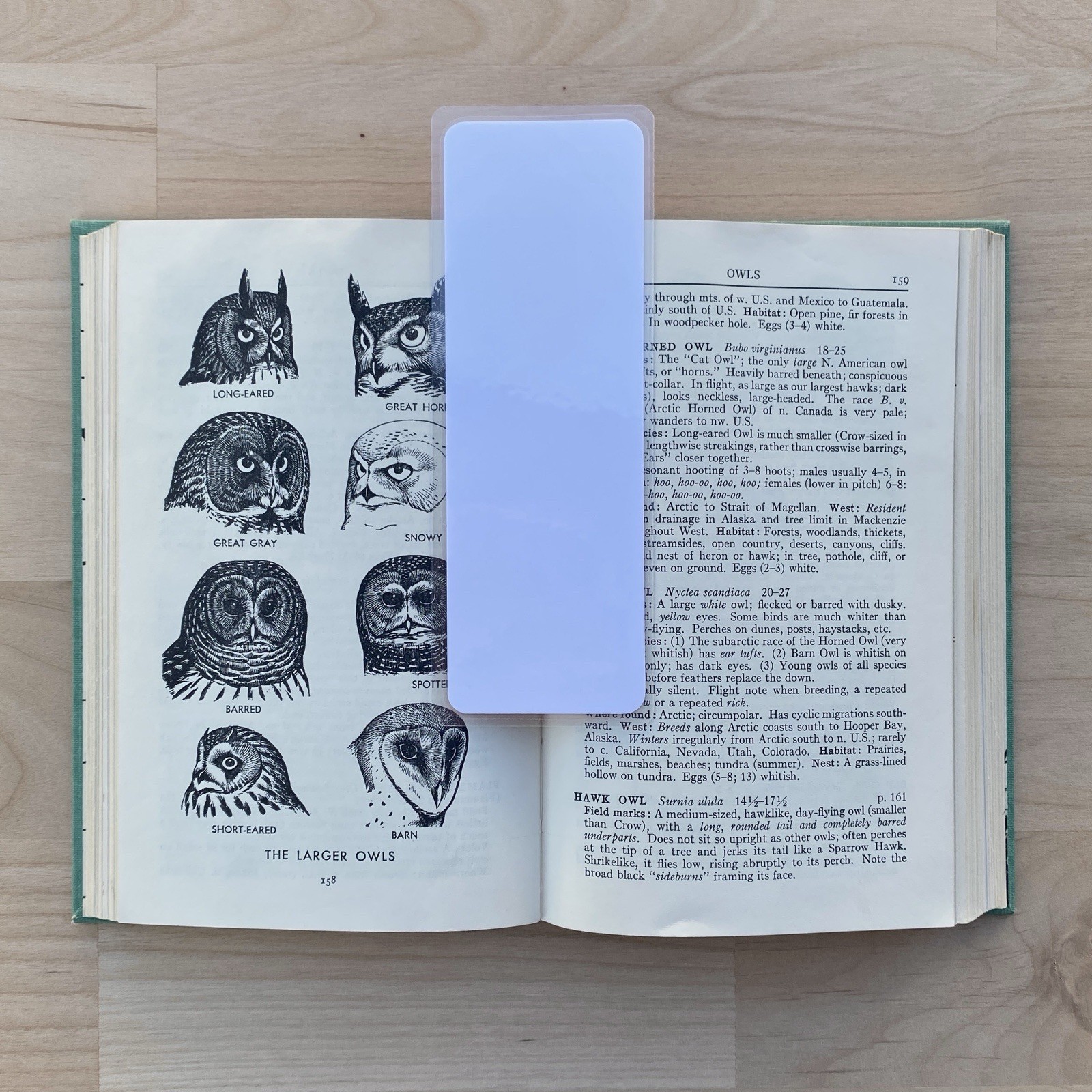 Birds Aesthetic Bookmark For Books, Gift For Bookworms, 2×6” Laminated, Purple