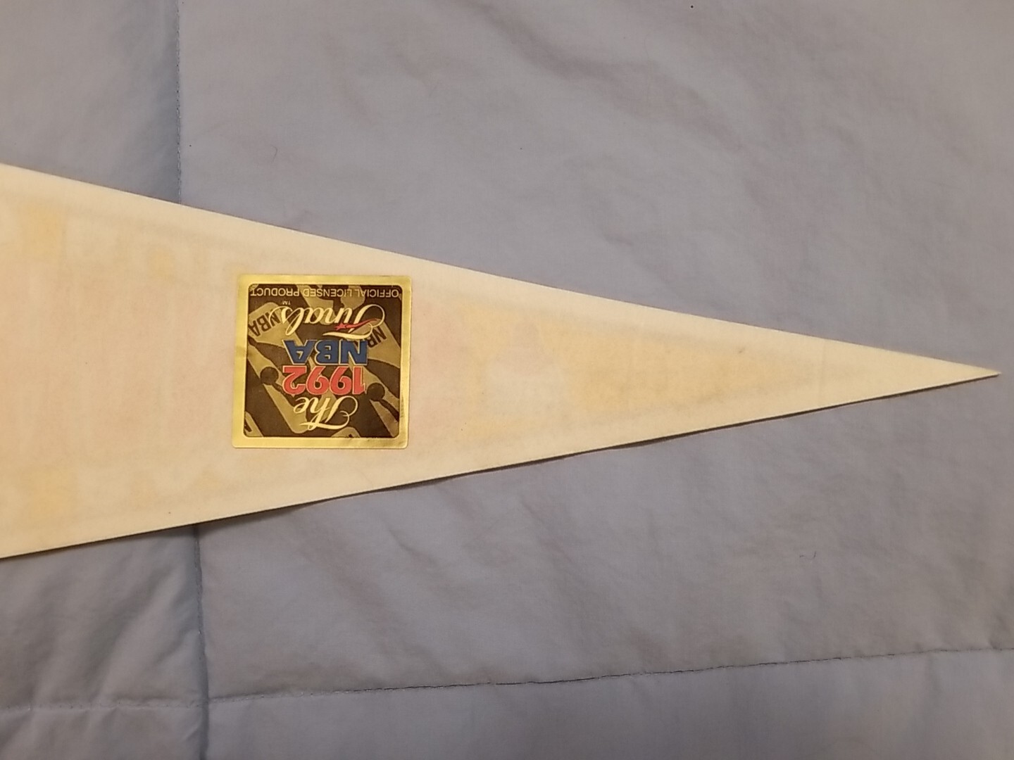 1992 Back to Back Champions Chicago Bulls Basketball Pennant Team Picture Jordan