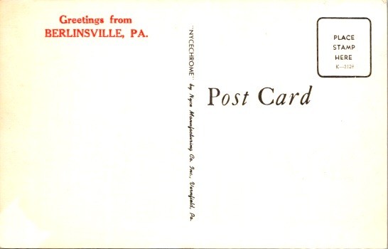 Unused 1970s Nycechrome Autumn Tree Lined Path Postcard Berlinsville PA K 2128