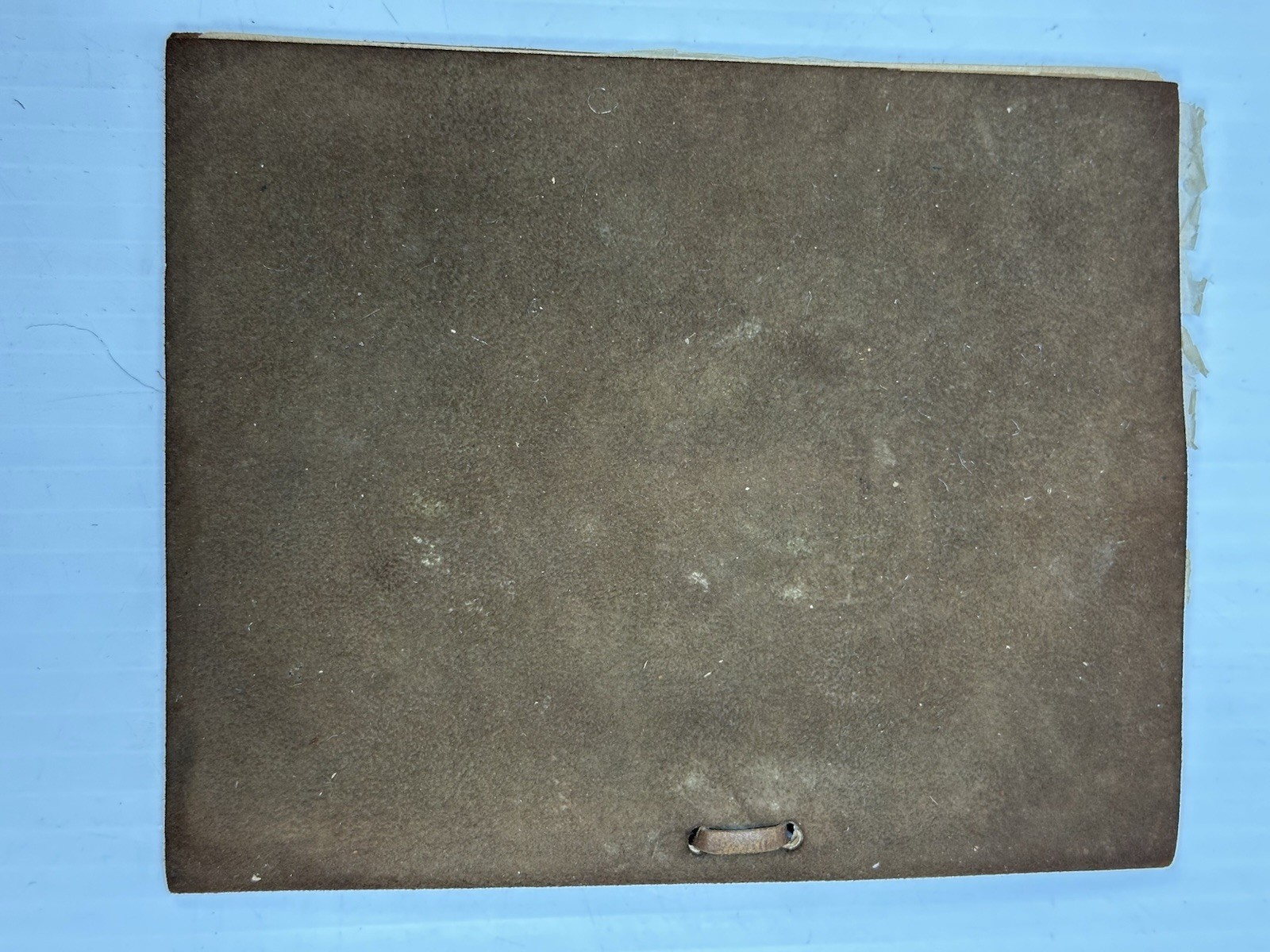 Antique Brown University Class Day 1907 Program Leather Cover Photos