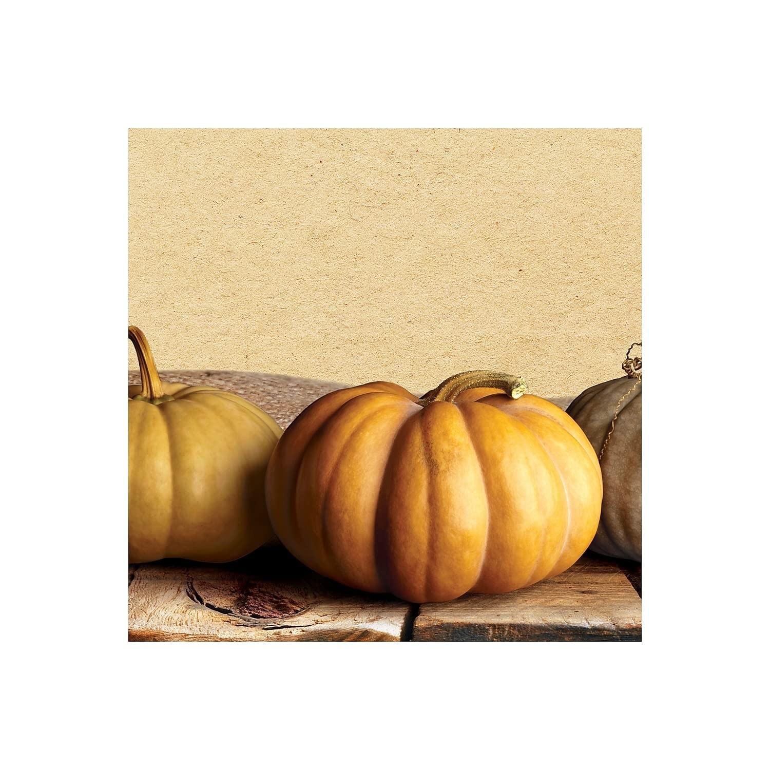 Great Papers! Fall Pumpkins Letterhead, 8.5″ x 11″, 80 sheets (2018012)