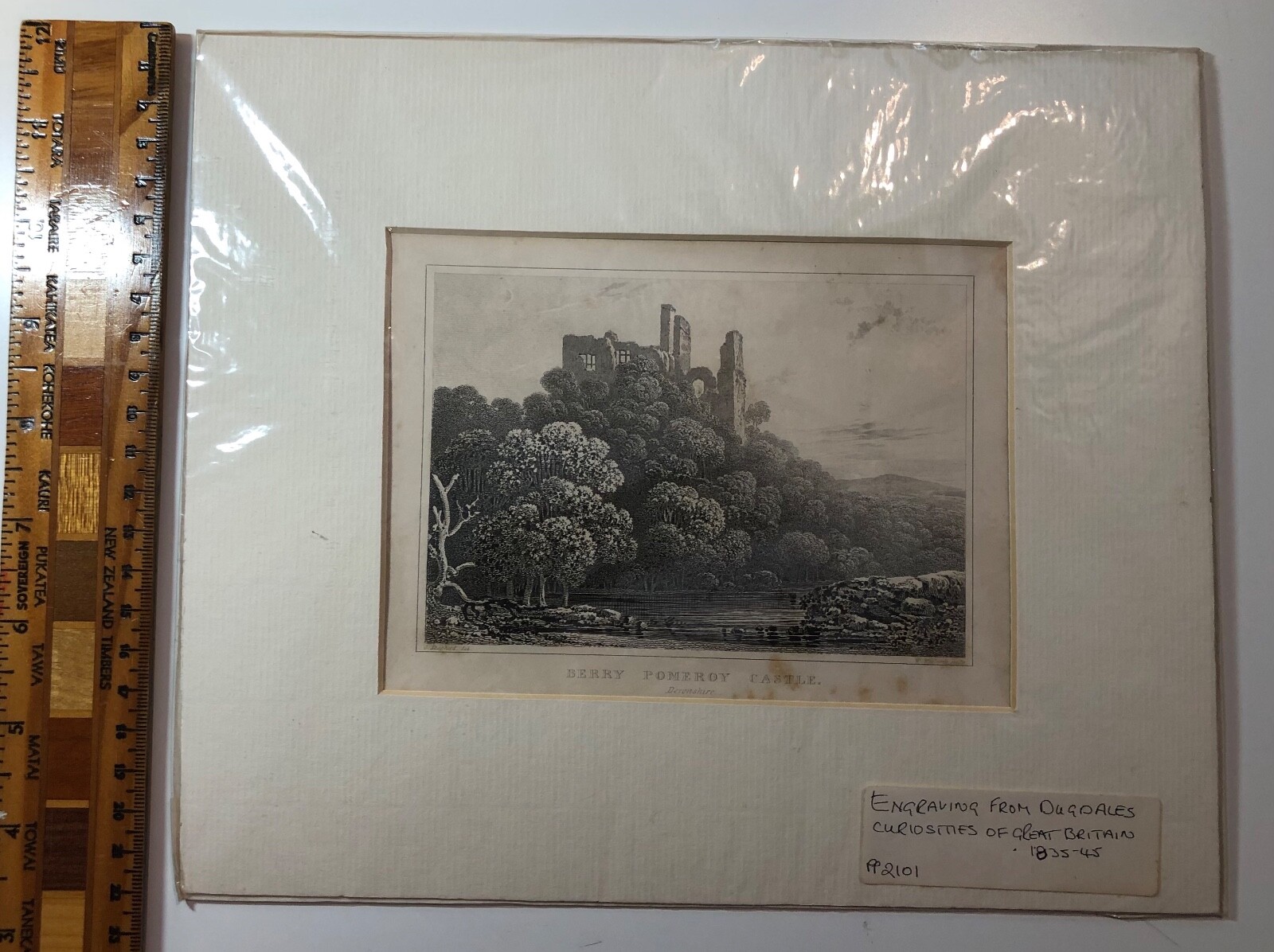 BERRY POMEROY CASTLE, Devon – c1830s G. Shepherd Drawing – 16 x 12cm – EX+