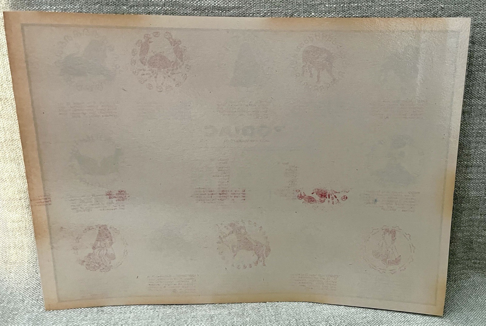 1970s Era ZODIAC Horoscope Months Graphic Paper Plastic Laminate Placemat USA