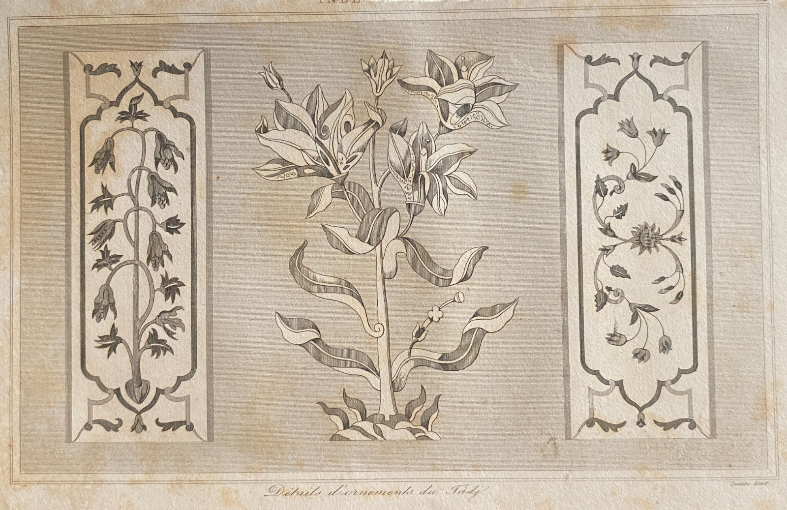 Engraving India 1843 ” Ornament Detail Of The Tadj “