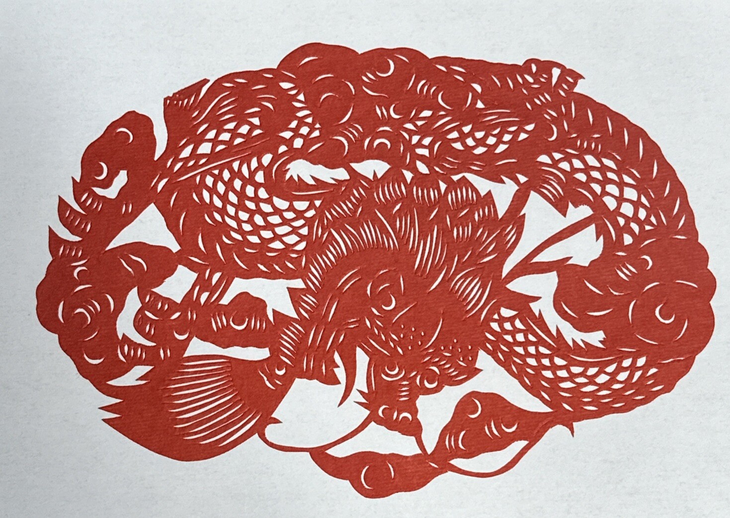 Chinese Paper Cuts Birds Butterfly Dragon Large Set 5 Red Single Pieces