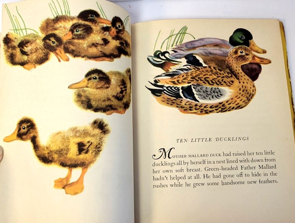 Semi-antique 1943 The Little Golden Book of Birds