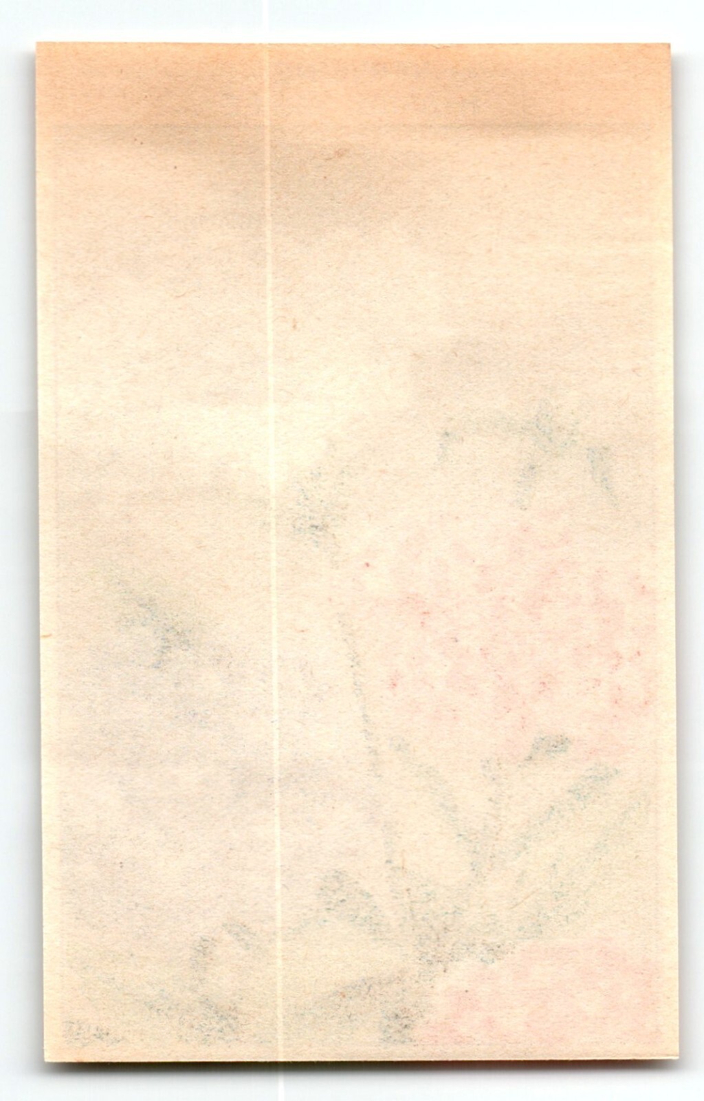 1920’s Flower Art Print VERVEINE Lithograph Original Vintage For Seed Pack